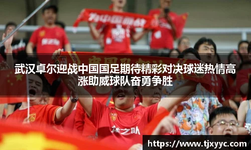彩神VI首页