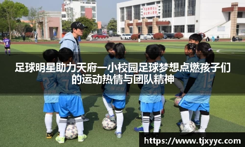 彩神VI首页官网