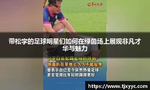 彩神VI首页官网
