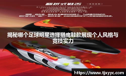 彩神VI首页官网