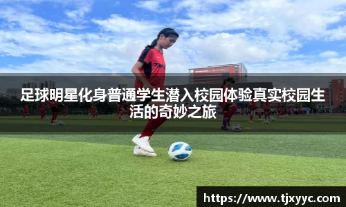 彩神VI首页官网