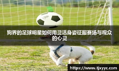 彩神VI首页官网