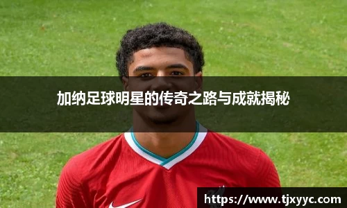 彩神VI首页官网