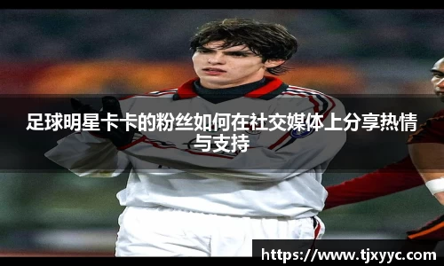 彩神VI首页官网