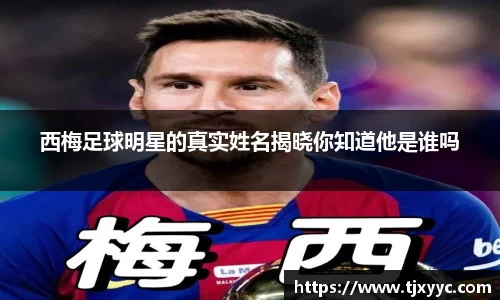 彩神VI首页官网