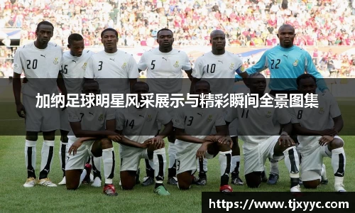 彩神VI首页官网